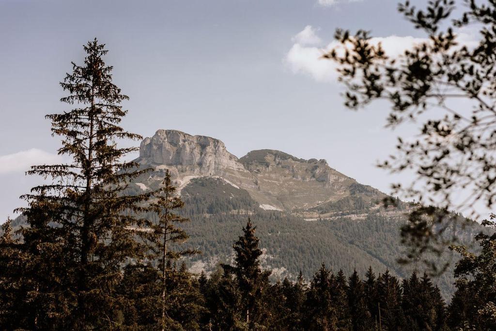 Das Schutzhaus-Bed And Breakfast-Dein Basislager Im Salzkammergut Bad Aussee Eksteriør billede